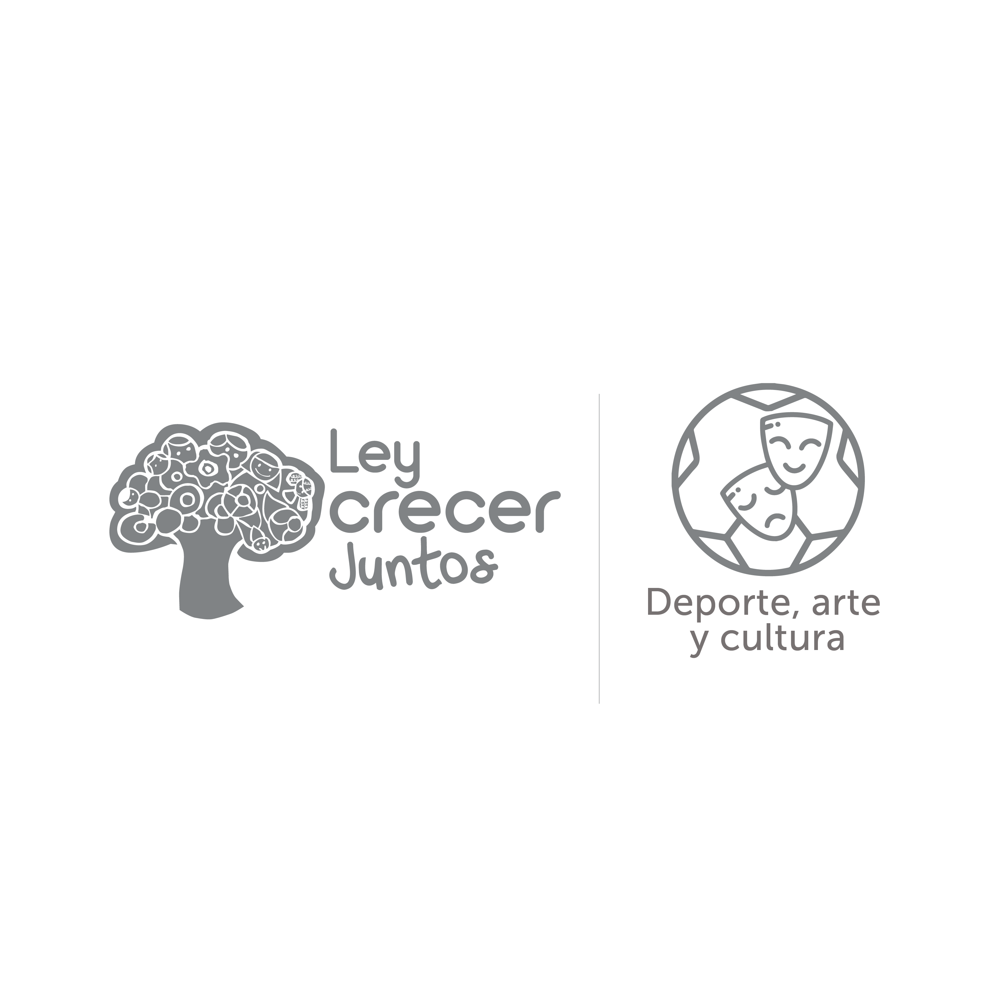 Ley Crecer Juntos - Deporte, arte y cultura 3